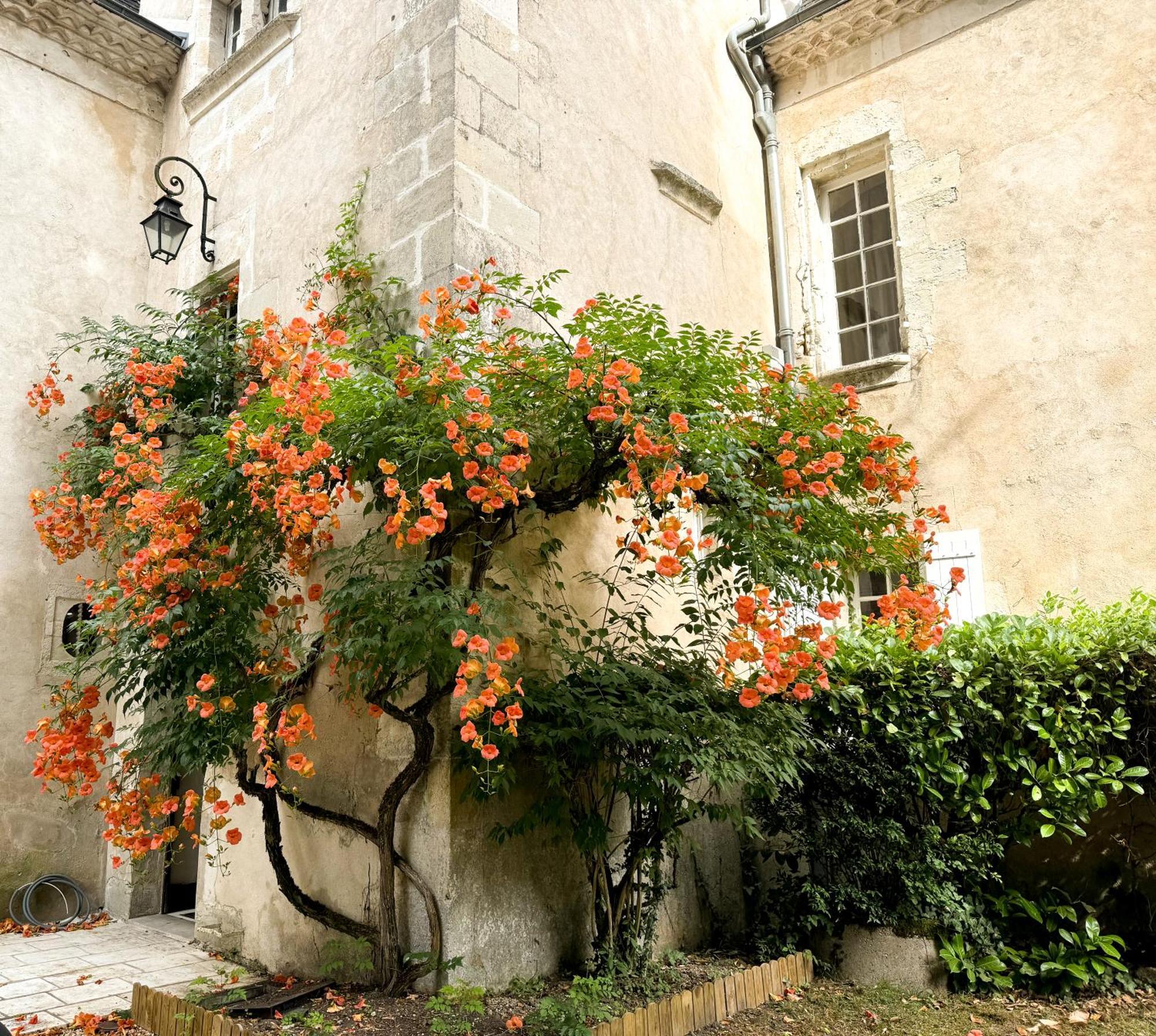 Bed and Breakfast Domaine Labattut Saint-Astier  Exterior foto